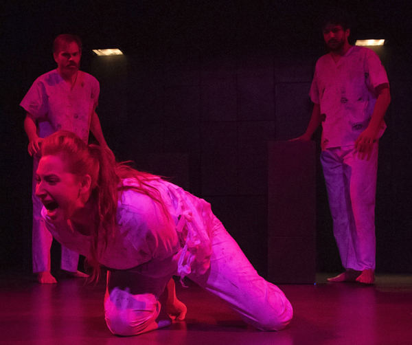 Photo Flash: Firehouse Theatre Presents SONGS FROM BEDLAM Image
